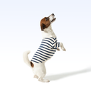EHRE_PARISIAN PUP SHIRT